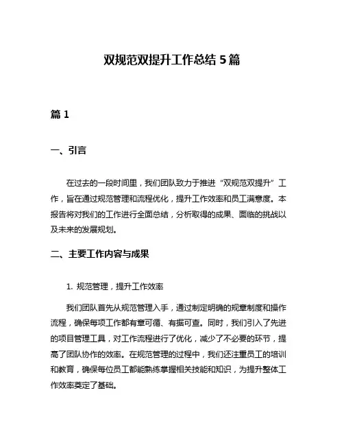双规范双提升工作总结5篇
