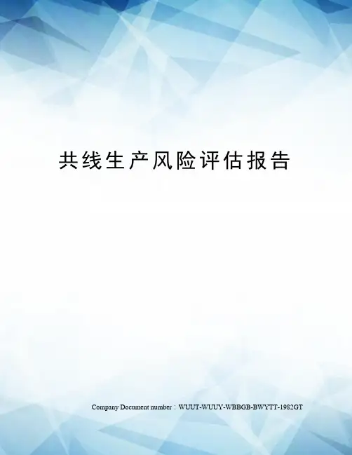 共线生产风险评估报告