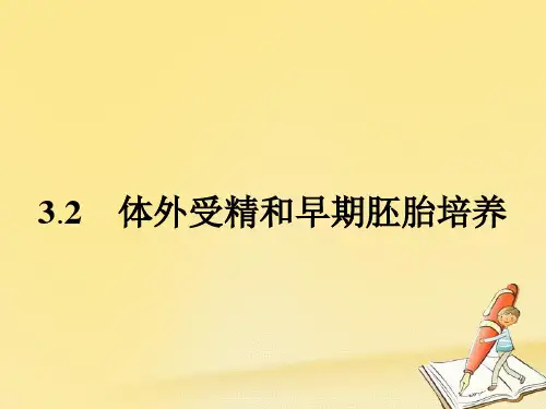 人教版生物选修3(课件)3.2 体外受精和早期胚胎培养