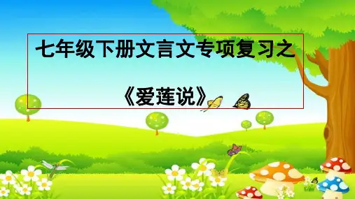 七年级语文部编版下册 第四单元 阅读《爱莲说》复习课件 (共31张PPT)