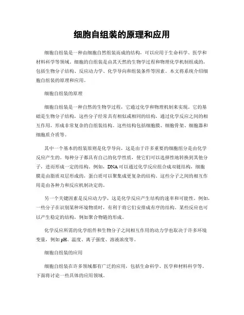 细胞自组装的原理和应用