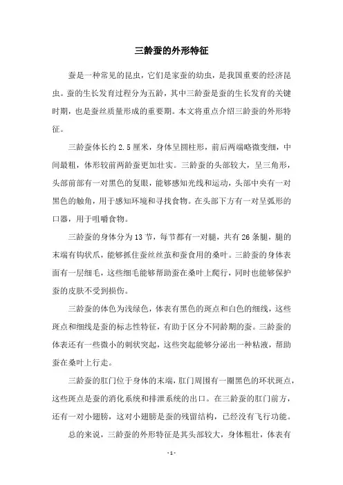 三龄蚕的外形特征