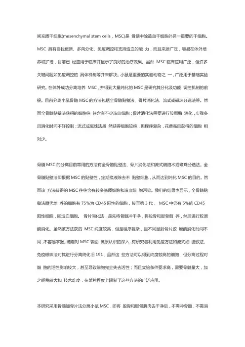 小鼠骨髓间充质干细胞分离培养新方法