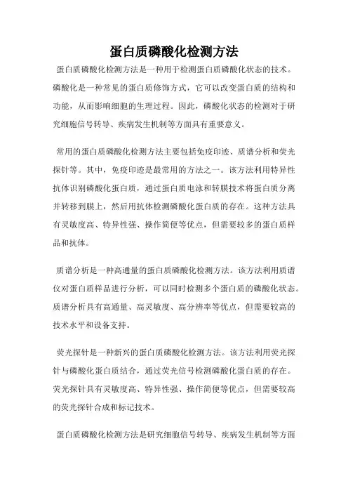 蛋白质磷酸化检测方法