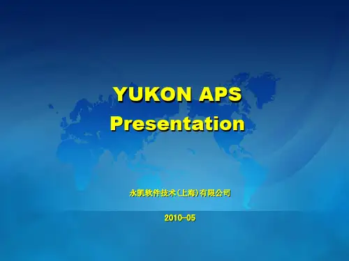 永凯APS总体介绍