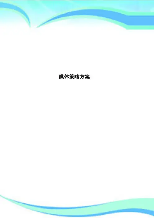 媒体策略方案