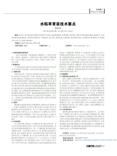 水稻旱育苗技术要点_侯丽颖