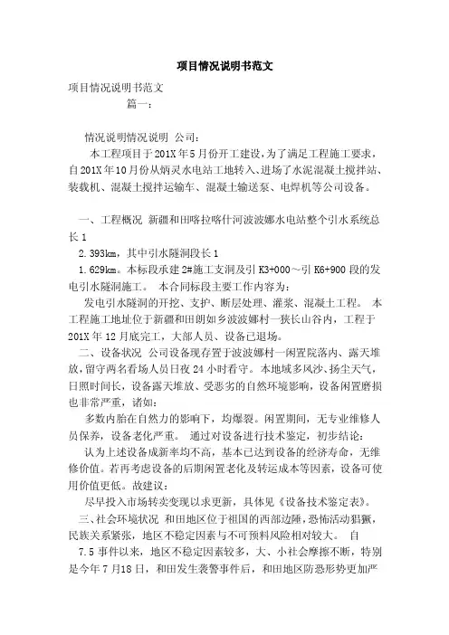 项目情况说明书范文（范文）