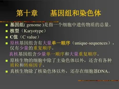 基因组和染色体