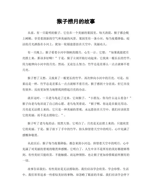 猴子捞月的故事