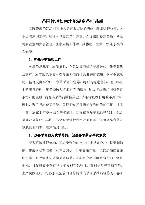 茶园管理如何才能提高茶叶品质