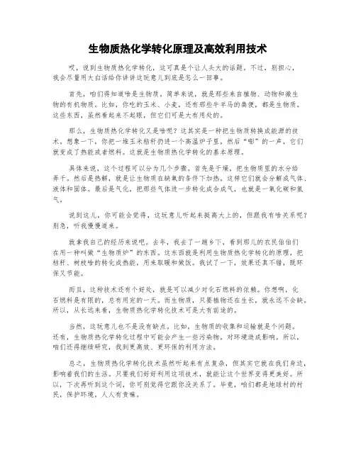 生物质热化学转化原理及高效利用技术