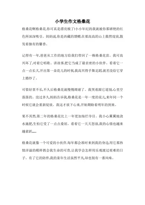小学生作文格桑花