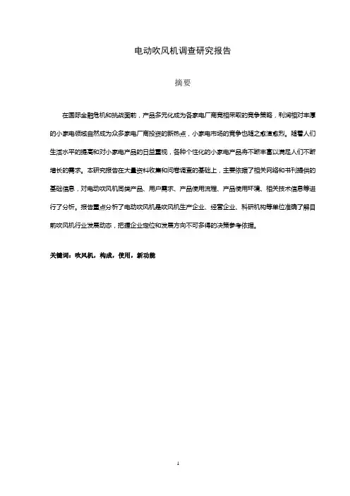 电动吹风机研究调查报告(完全免费版)