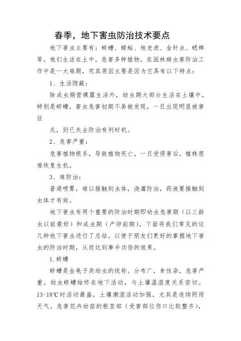 春季,地下害虫防治技术要点