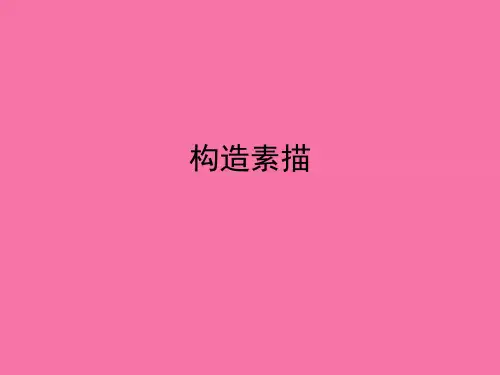 六年级上册美术-6.12结构素描_赣美版ppt课件