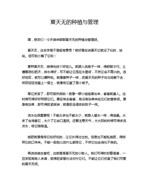 夏天无的种植与管理