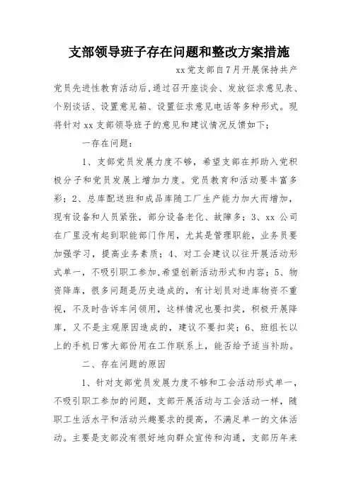 支部领导班子存在问题和整改方案措施