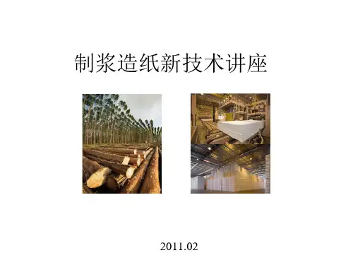 制浆造纸新技术讲座绪论PPT课件