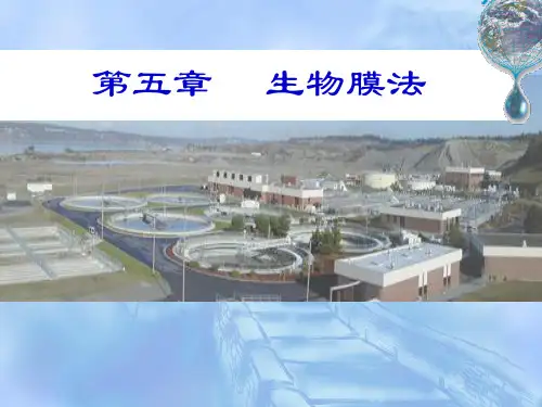 生物膜法PPT课件