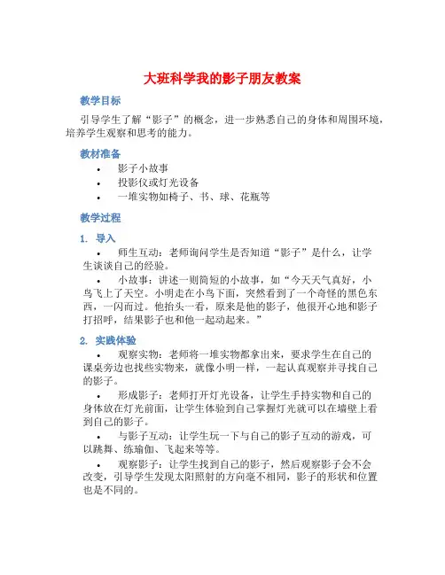 大班科学我的影子朋友教案【含教学反思】 (2)