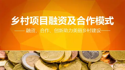 乡村项目的融资及合作模式概述(PPT39页)