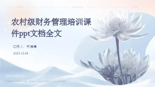 农村级财务管理培训课件ppt文档全文