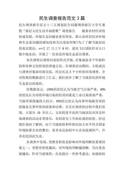 民生调查报告范文3篇