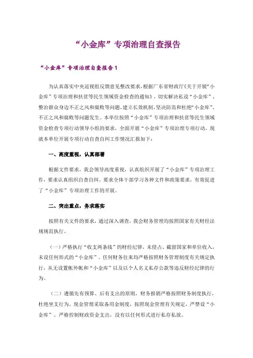 “小金库”专项治理自查报告