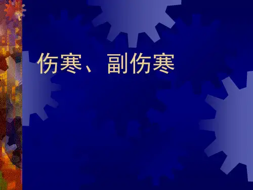 传染病课件--伤寒副伤寒