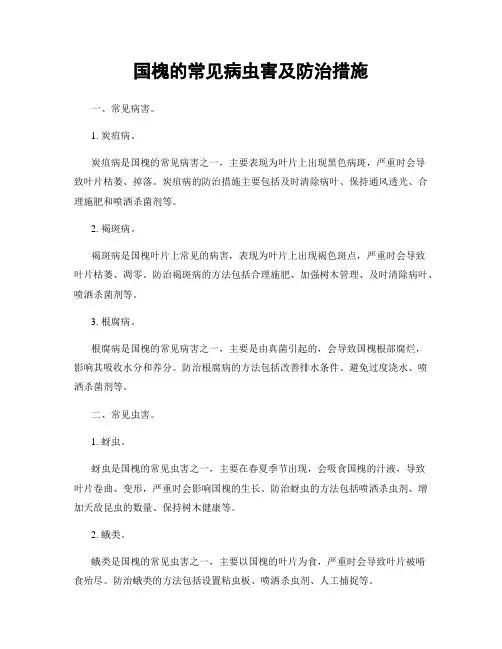 国槐的常见病虫害及防治措施