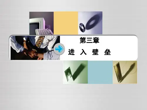 产业经济学第3章进入壁垒-PPT课件