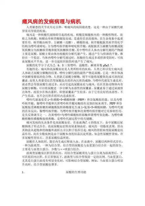 痛风病的发病病理与病机