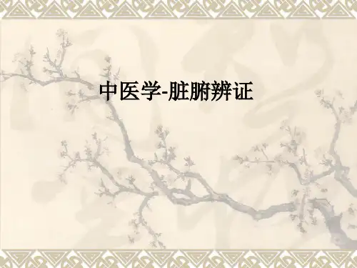 中医学-脏腑辨证ppt课件