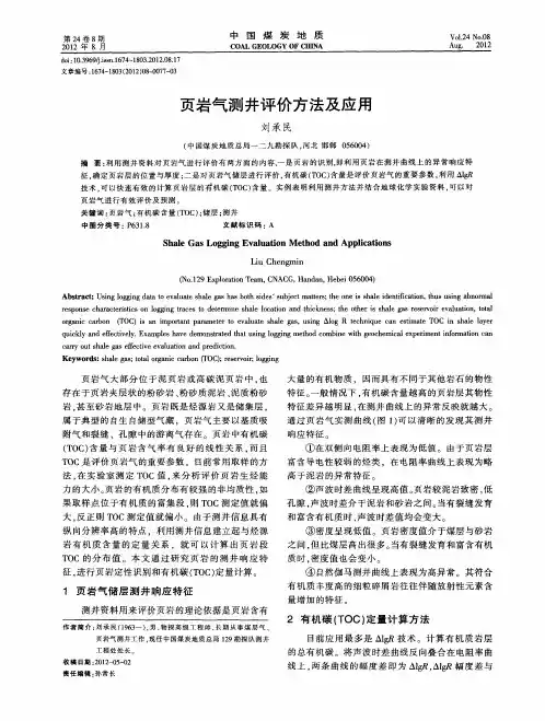 页岩气测井评价方法及应用