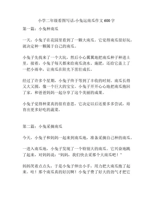 小学二年级看图写话-小兔运南瓜作文600字