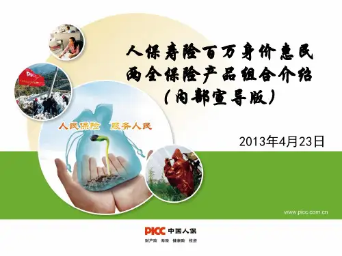 百万身价内部宣导材料ppt(2013.4.23.2)