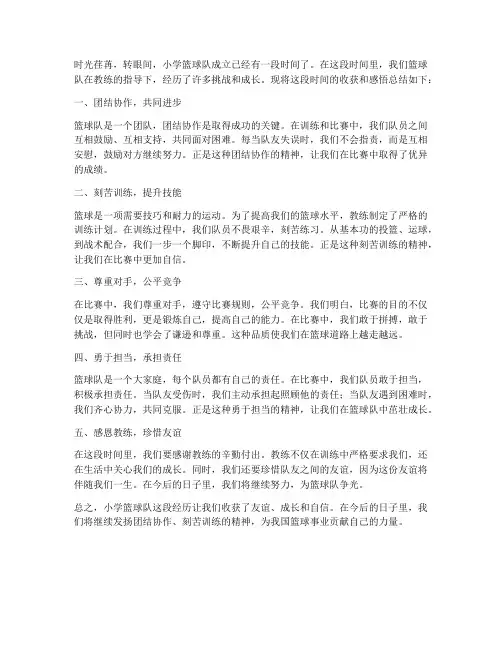 小学篮球队经验总结范文