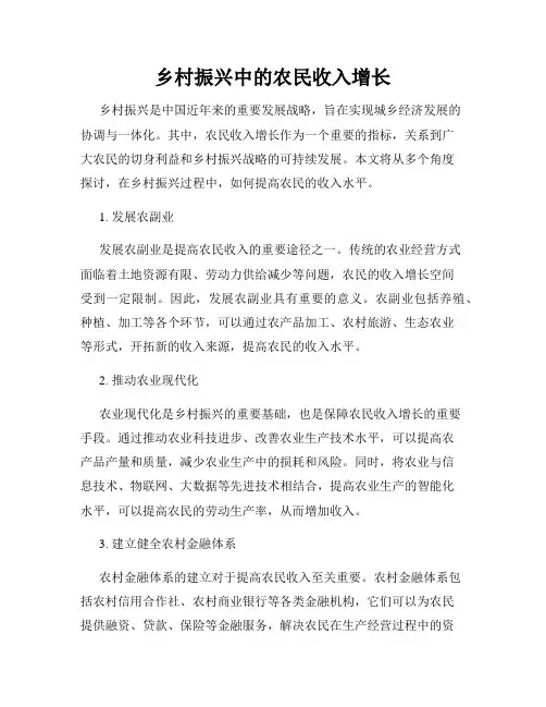 乡村振兴中的农民收入增长