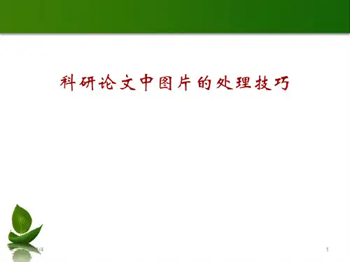 科研绘图技巧必看参考幻灯片