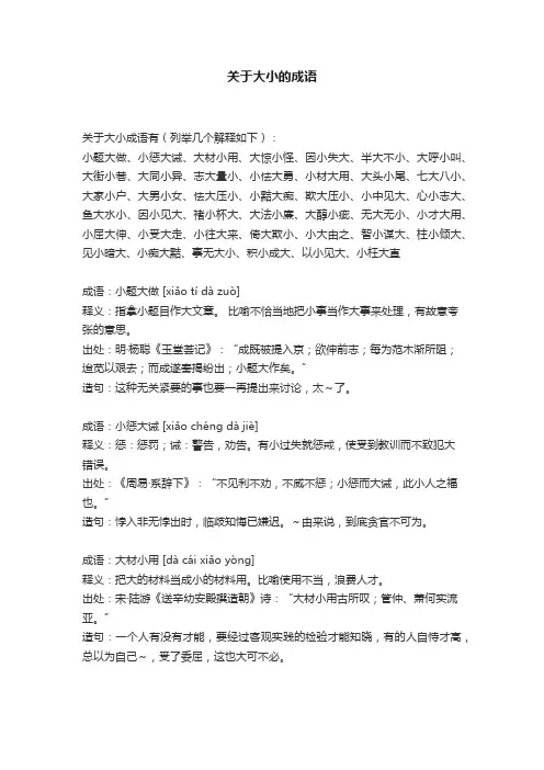 关于大小的成语