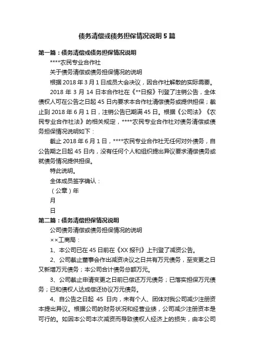 债务清偿或债务担保情况说明5篇