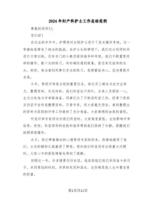 2024年妇产科护士工作总结范例（六篇）