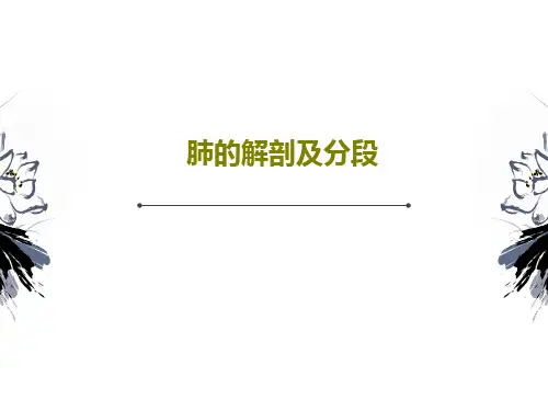 肺的解剖及分段57页PPT