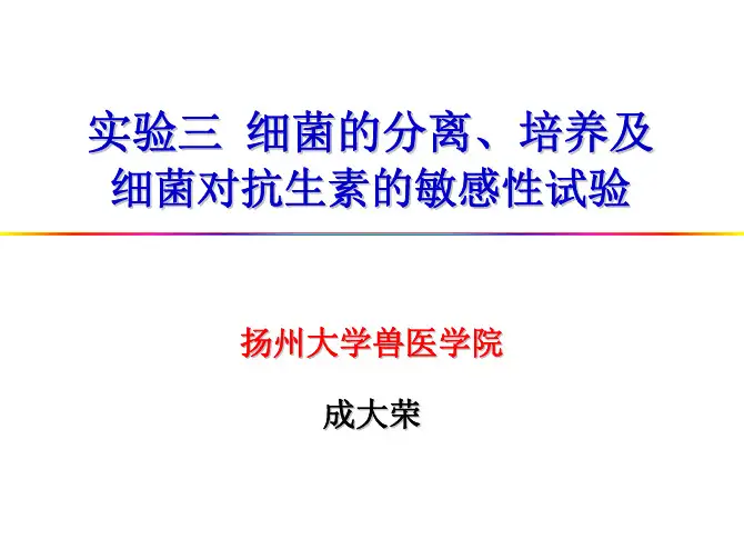 细菌的分离、培养及细菌对抗生素的敏感性试验