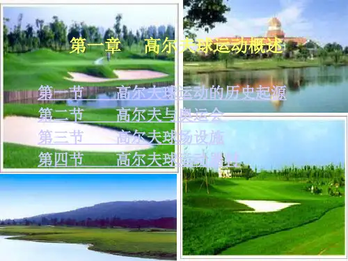 高尔夫球运动概述.ppt