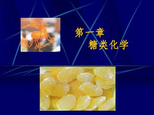 生物化学 第1章    糖类化学