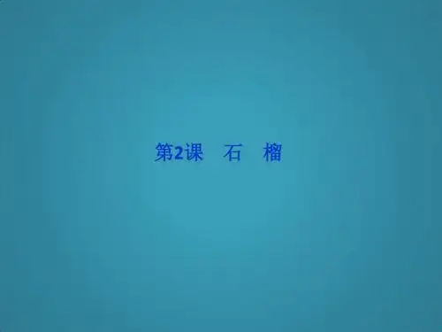 高中语文人教版选修外国诗歌散文欣赏全册精品课件第三单元第2课