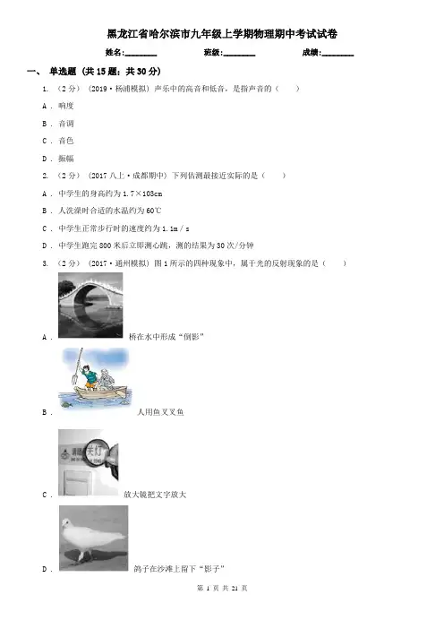 黑龙江省哈尔滨市九年级上学期物理期中考试试卷