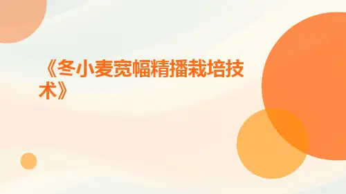 冬小麦宽幅精播栽培技术
